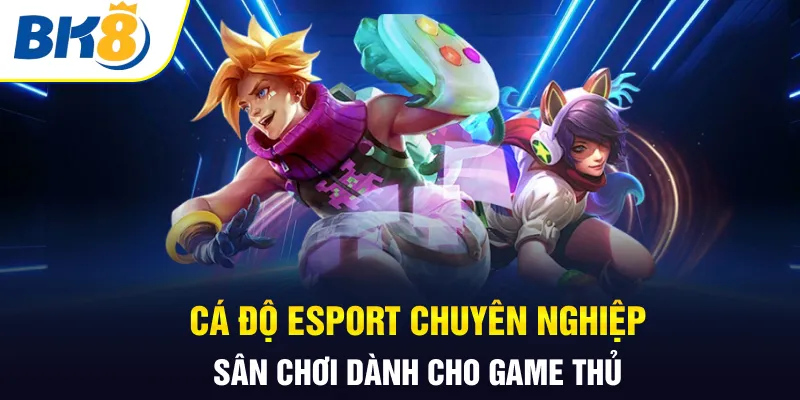 Cá độ esports BK8