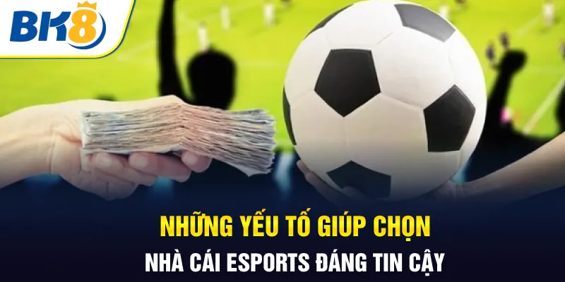 Những yếu tố giúp chọn nhà cái Esports đáng tin cậy Những yếu tố giúp chọn nhà cái Esports đáng tin cậy
