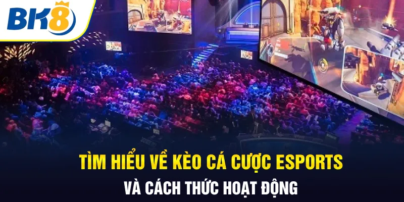 Tìm hiểu về kèo cá cược esports và cách thức hoạt động Tìm hiểu về kèo cá cược esports và cách thức hoạt động